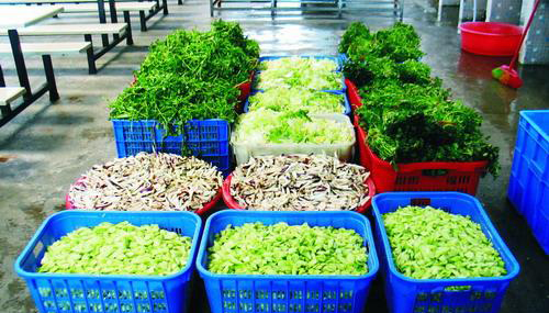 惠州食堂承包 惠州食堂承包